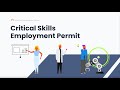 What is a Critical Skill Employment Permit in Ireland?