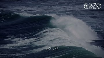 تلاوه من صلاه الفجر | عبدالرحمن نعيم || سورة البقره