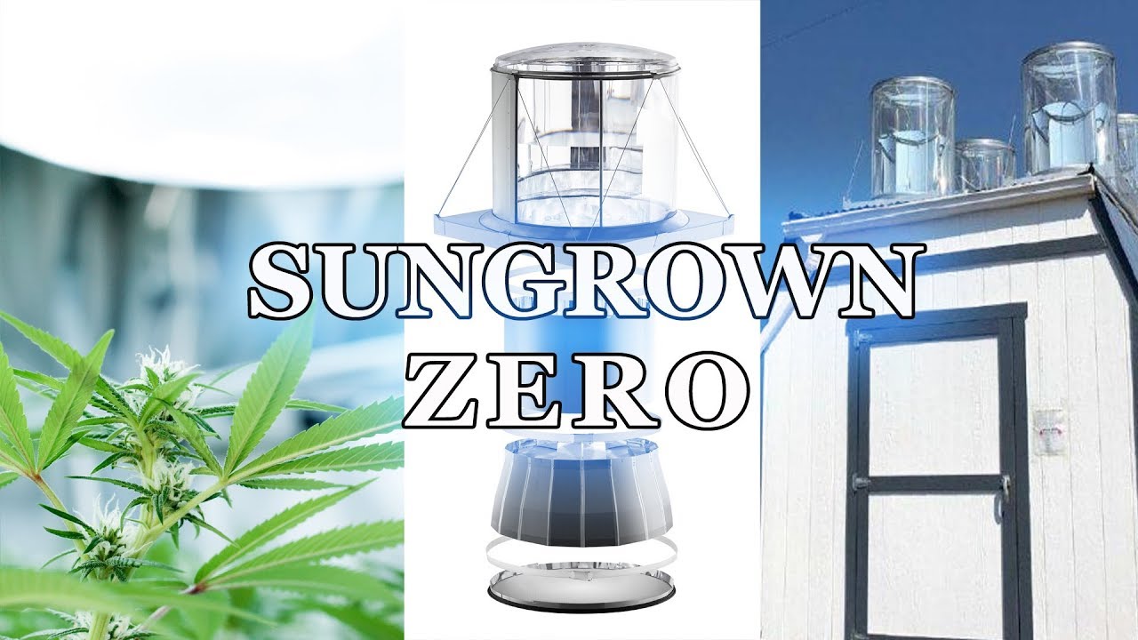 Sungrown Zero Introduction