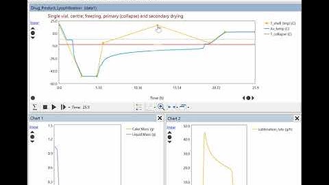 Dynochem Biologics: Predict cycle time and cake collapse in lyo vial