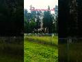 живем рядом с мусульманским кладбищем...