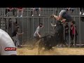 IMPRESIONANTE EL TORO DE LA FUENTE