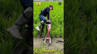Download Lagu Rijstteeltmachine | Moderne rijstteelttechnologie MP3 Download Lagu Rijstteeltmachine | Moderne rijstteelttechnologie MP3