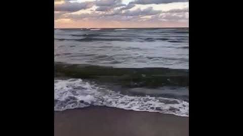 سورة الفجر بصوت جميل يريح القلب