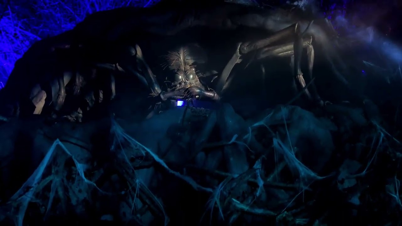 Harry Potter The Forbidden Forest Experience