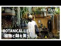 【植物店巡り】the Farm UNIVERSAL CHIBA店長が教える初心者にも育てやすいオススメの観葉植物3選と購入品のご紹介|#観葉植物 #観葉植物のある暮らし #plants