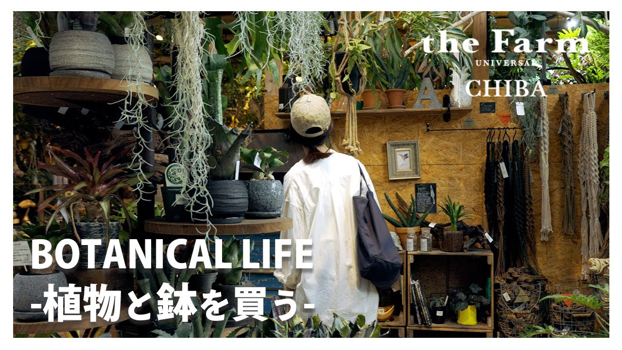 【植物店巡り】the Farm UNIVERSAL CHIBA店長が教える初心者にも育てやすいオススメの観葉植物3選と購入品のご紹介｜#観葉植物 #観葉植物のある暮らし #plants