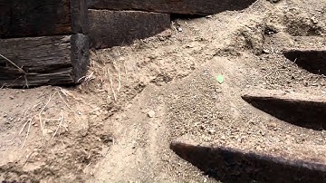 Laing P-03 Stabilizer Test Video