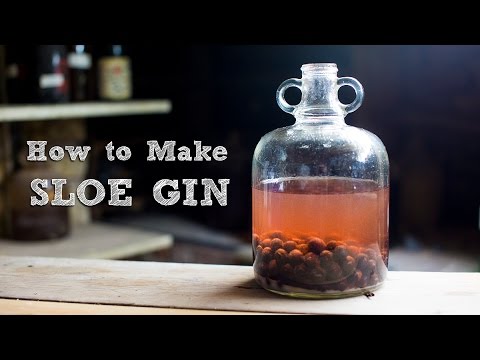 וִידֵאוֹ: Sloe Gin תוצרת בית - איך לקצור סלואי למשקאות לחג