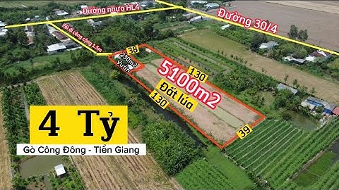 5100m2 đất lúa và Vườn Gò Công Đông - Tiền Giang giá 4 tỷ Thuong Lượng 0968.079.561