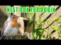 Making a robin nest box.