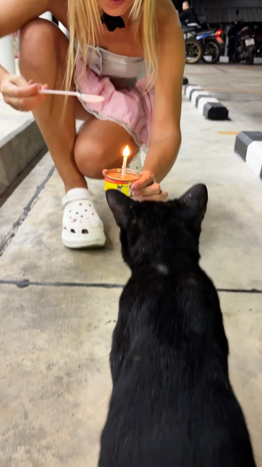 Surprise ? cake ?