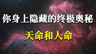 只有1%的人發現了自己身上的這個驚天秘密什麼是天命和人命他可是直接關係到你能活出怎樣的人生#能量#業力 #宇宙 #精神 #提升 #靈魂 #財富 #認知覺醒 #修行