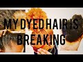“Why Your Hair Is Breaking After Dyeing (And How to Fix It Fast)”