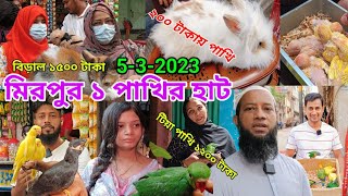 মাত্র ২০০ টাকায় পাখি | টিয়া পাখির ১২০০ টাকা মাত্র | বিড়াল ১৫০০ টাকা  | মিরপুর ১ পাখির হাট | #viral