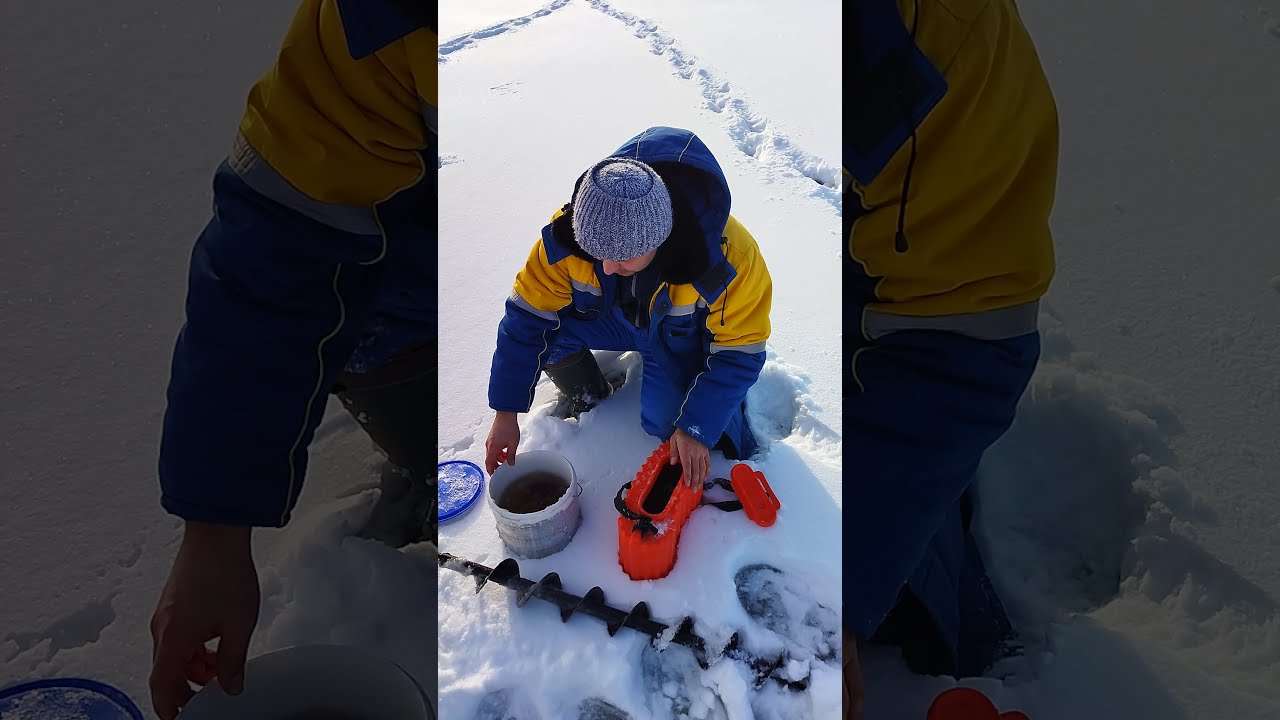 Кан для живца своими руками! Сравнение самодельного и покупного .