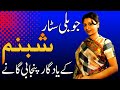 Beautiful pakistani actress shabnams top hit punjabi songs detailed list  best of shabnam begum