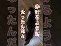 歩けるようになったんだよ #四肢麻痺 #寝たきり #リハビリ #鍼治療 #ねこ #fip #shorts