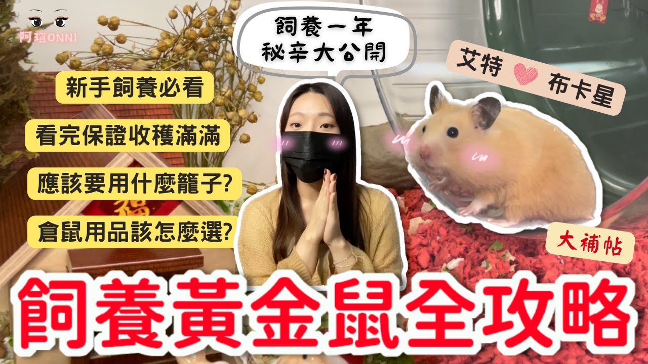 黃金鼠食衣住行育樂大補帖！！！詳細整理養鼠問題，倉鼠爸媽ＣＯＭＩＮＧ～