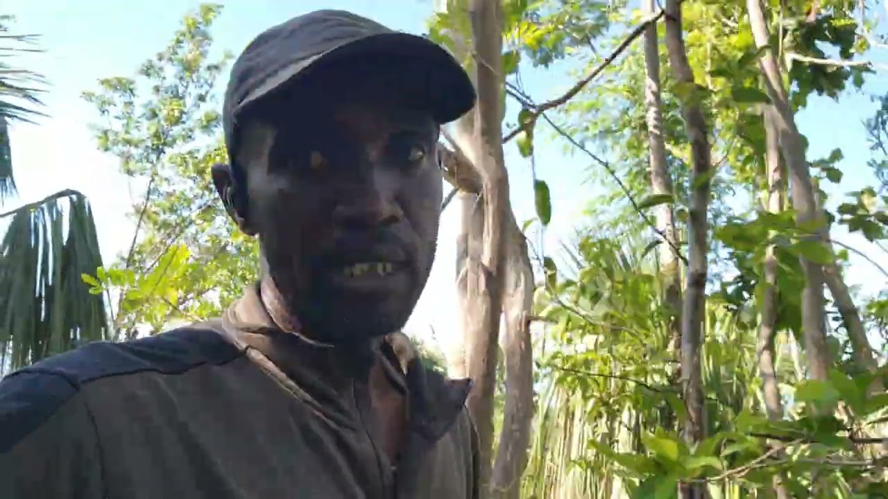 На этой неделе охота на диких коз прекращается, я возвращаюсь в Портленд. Куплю телевизор у Колаз...