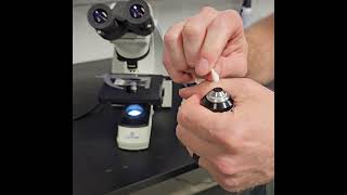 Famous Is Your 40X Microscope Lens Blurry? Here’s How to Fix It FAST! Net Worth