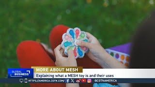 Global Business: MESH toys and mental health