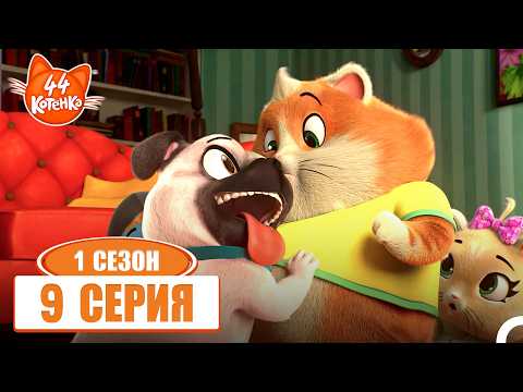 44 Kittens Episode 9 - Gas — A Dog as a Friend 🐱🤝🐶 | Season 1
