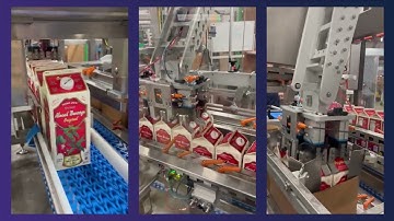 Case Packing of Milk Cartons | JLS Automation