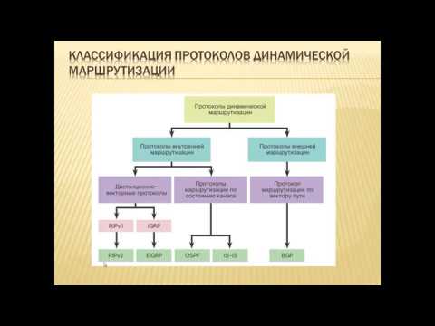 Видео: Основы динамической маршрутизации - классификация протоколов и методик