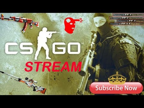 CS:GO Stream