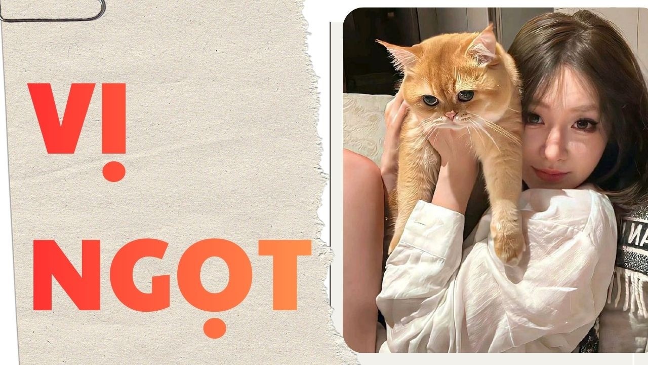 [ TRUYỆN AUDIO ]  || NỖI NHỚ || Meo Tổng