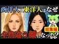 【総集編】DNAと進化が明かす人類最大の謎！東洋人と西洋人の顔がまったく違う理由