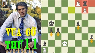 Vua Cờ Thứ 11 - Bobby Fischer - Một Trí Tuệ Thượng Thừa - Một Nhân Cách Lập Dị screenshot 5