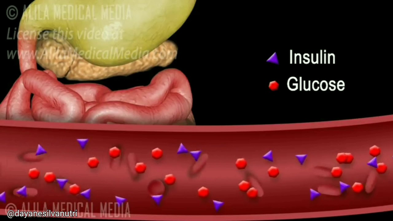 Пересадка поджелудочной железы при сахарном. Глюкоза и инсулин в крови. Инсулин анимация. Поджелудочная железа инсулин. Поджелудочная железа анимация.