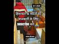 maa jwala ji ke aaj k divya darshan #jwala ji mata #himachal_pradesh #hindu_temple  #jai mata ki🙏
