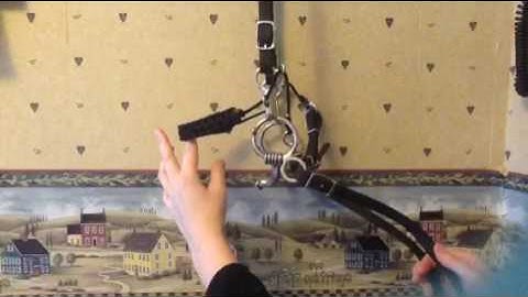 Myler Combination Bit