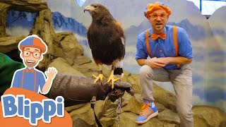 blippi feeds and plays with animals at the zoo educational videos for kids