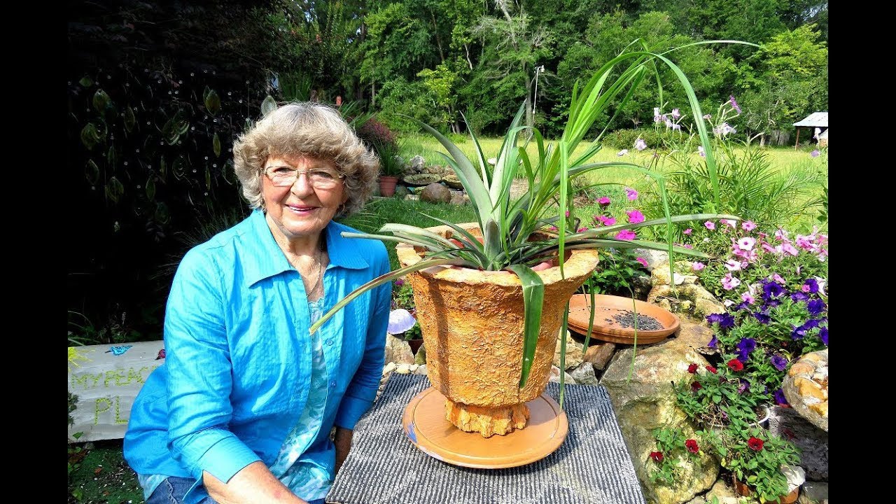 My Big Orange Portland Cement  Flower Pot in Ga U.S.A.