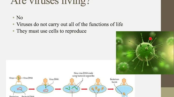 Notes for IB Biology Chapter 1.1