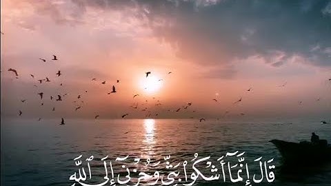 القارئ محمد الزَّبيدي تلاوة من سورة يوسف