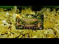 Dark spot clear soap making video #dryskin #coldprocesssoap #nature #organic #women#support#youtube 