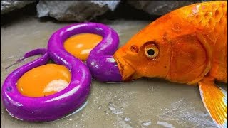 The Goldfish Carp Eel - Amazing Stop Motion ASMR Catching Big Purple Eel Primitive Cooking