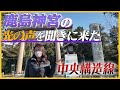 【鹿島神宮】中央構造線上の鹿島神宮の光の声を聞きに来た
