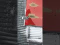 Silo tour