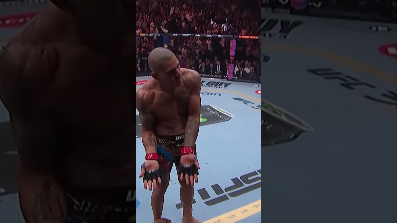 One Punch Knockout Insane Fight Highlight