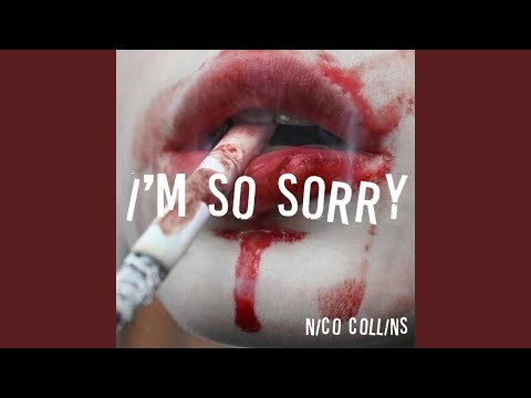 I'm so Sorry - Nico Collins
