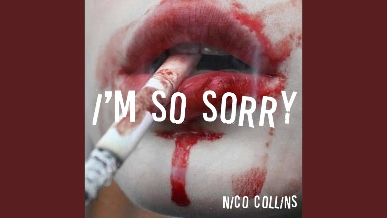 Nico collins i'm so sorry