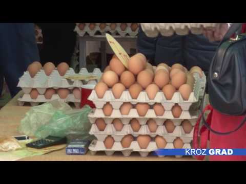 Video: Zarazne Bakterijske Bolesti Zbog Salmonele U Gerbilsu