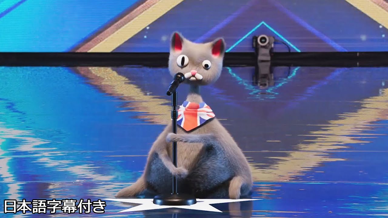 Cat? prepares a surprise for the judges | BGT 2023 | BGT 2023 