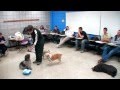 Examples of Classical and Operant Conditioning with Dogs Examples of Classical and Operant Conditioning with Dogs